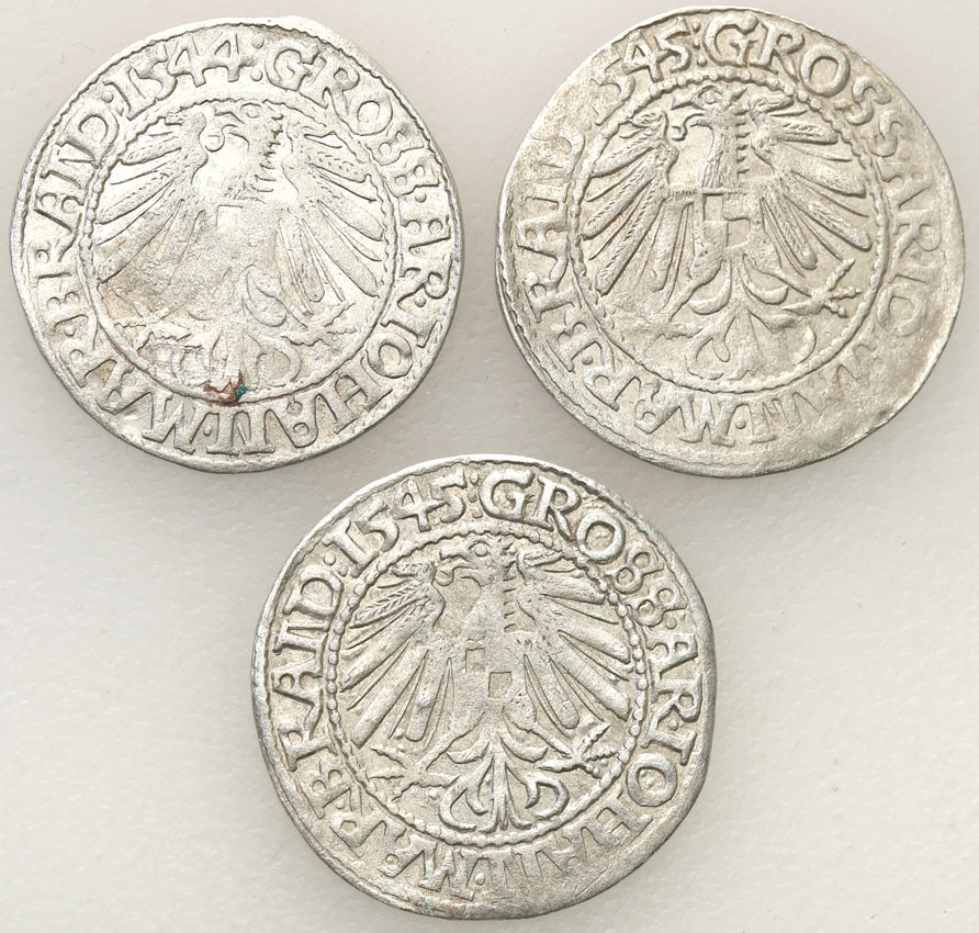 Śląsk. Jan Kostrzyński. Grosz 1544-1545 Kostrzyń, zestaw 3 sztuk